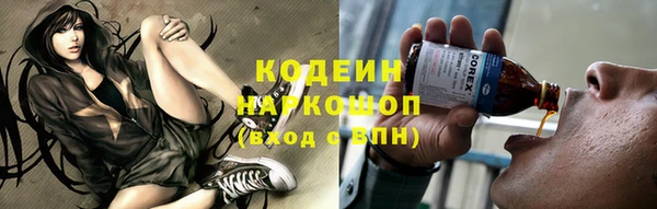 стаф Карпинск