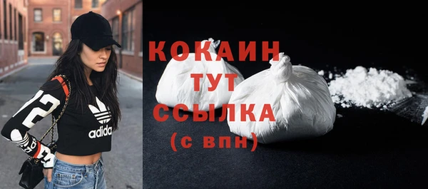 PSILOCYBIN Карталы
