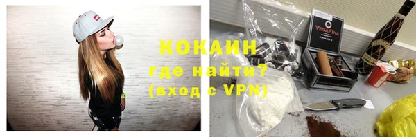 PSILOCYBIN Карталы