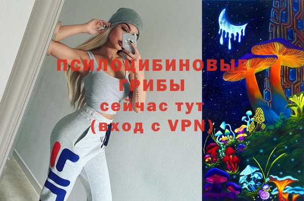PSILOCYBIN Карталы