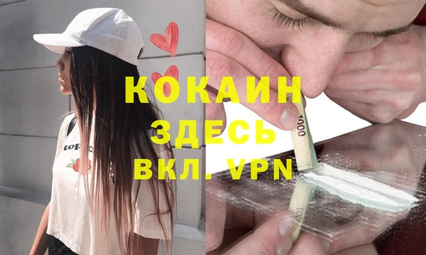 стаф Карпинск