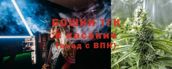 PSILOCYBIN Карталы