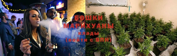 спайс Касимов