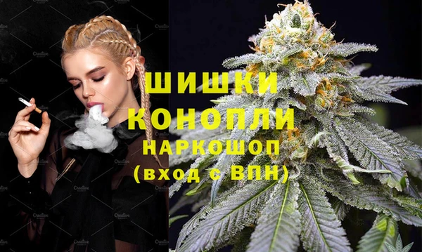 стаф Карпинск