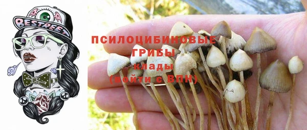 PSILOCYBIN Карталы
