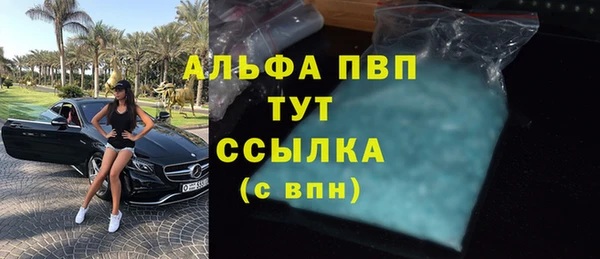 стаф Карпинск
