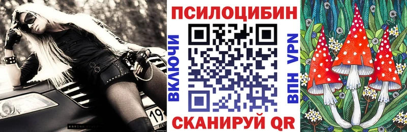 Купить  Сургут  Галлюциногенные грибы MAGIC MUSHROOMS 